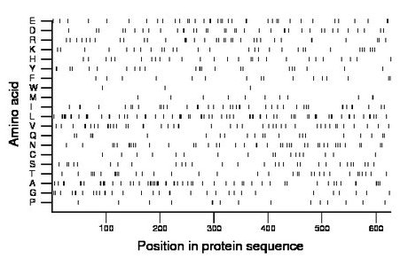 amino acid map