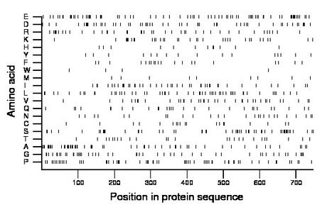 amino acid map