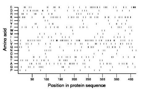 amino acid map