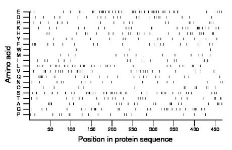 amino acid map