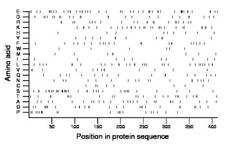 amino acid map