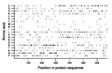 amino acid map