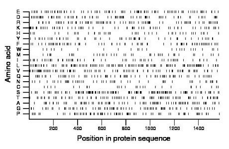 amino acid map