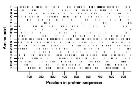 amino acid map