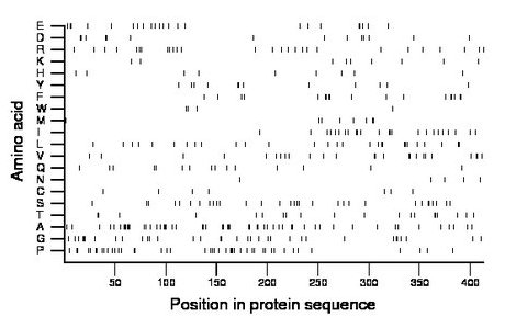 amino acid map