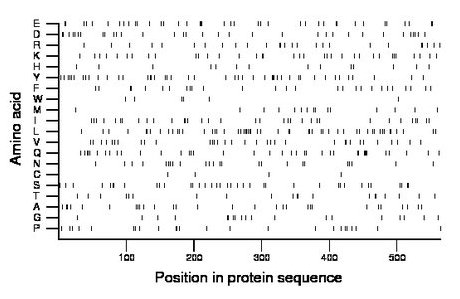 amino acid map