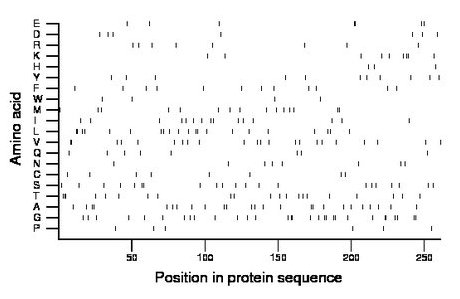 amino acid map