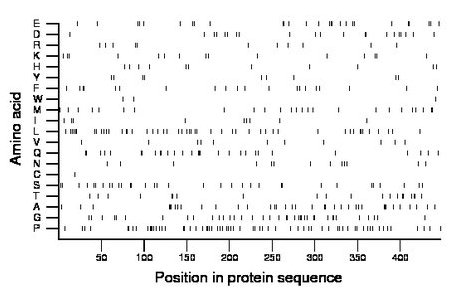 amino acid map