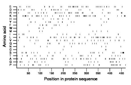 amino acid map