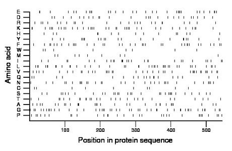 amino acid map