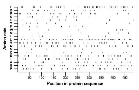 amino acid map