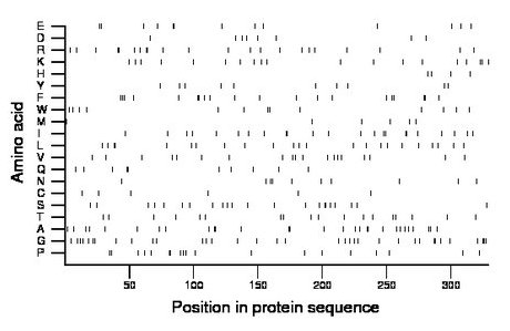 amino acid map