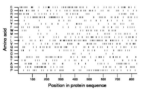 amino acid map