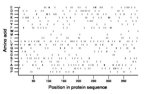 amino acid map