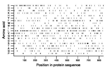 amino acid map