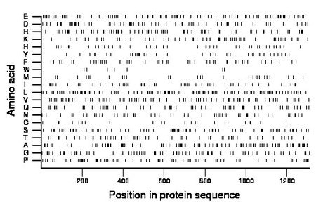 amino acid map