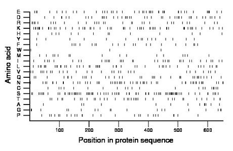 amino acid map