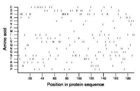 amino acid map