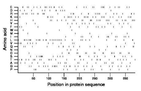 amino acid map