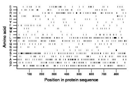 amino acid map