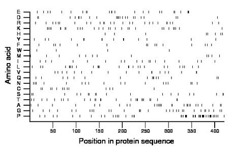 amino acid map