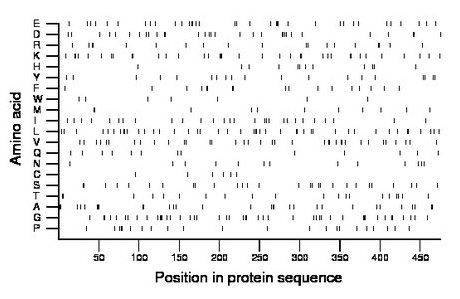 amino acid map