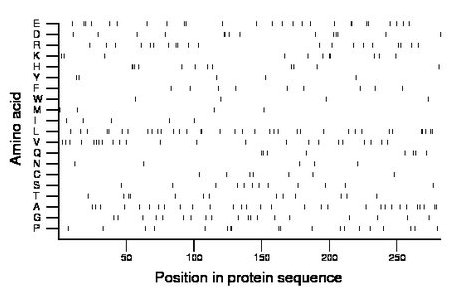 amino acid map