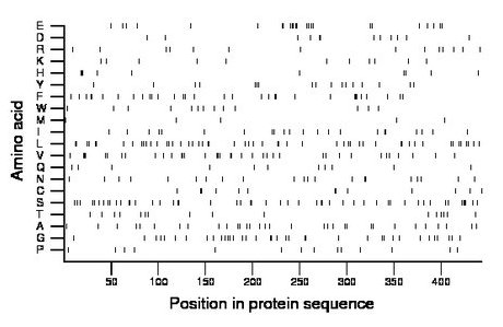 amino acid map