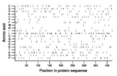 amino acid map