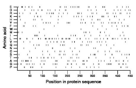 amino acid map