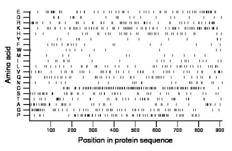 amino acid map