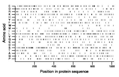 amino acid map