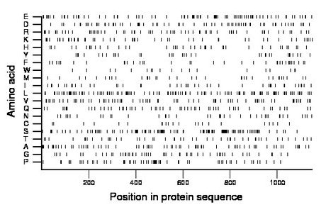 amino acid map