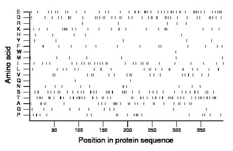 amino acid map