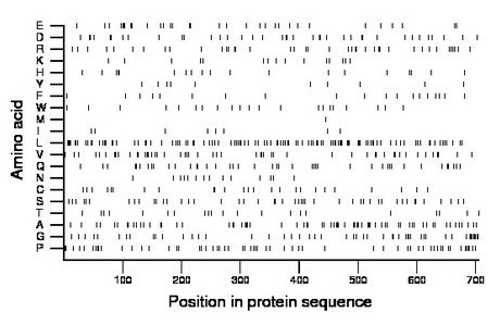 amino acid map