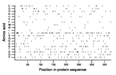 amino acid map