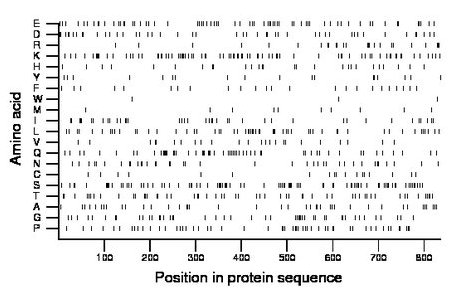 amino acid map