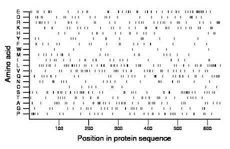 amino acid map