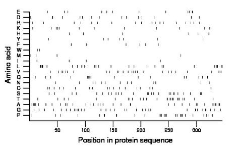 amino acid map