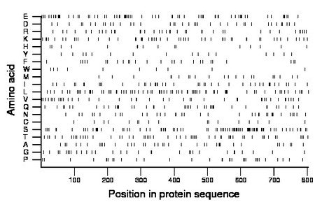 amino acid map