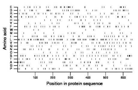 amino acid map