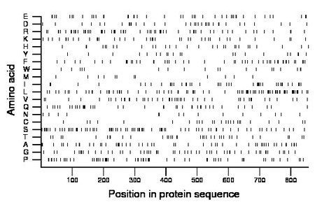 amino acid map