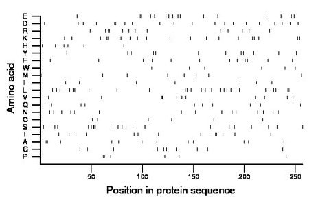 amino acid map