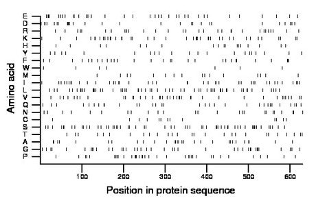 amino acid map