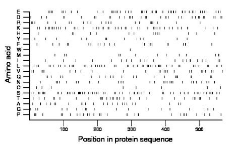 amino acid map