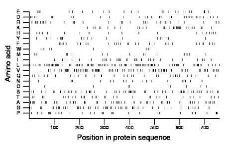 amino acid map