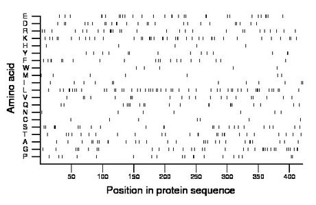 amino acid map