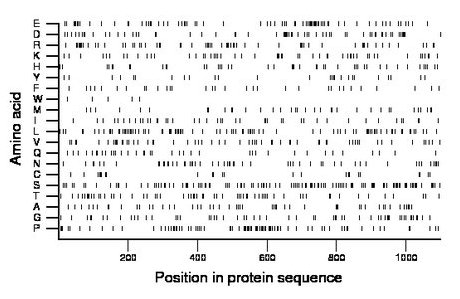 amino acid map