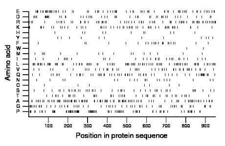 amino acid map