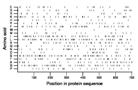 amino acid map